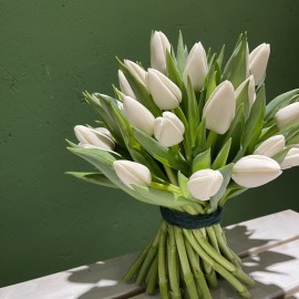 Bouquet tulipani bianchi